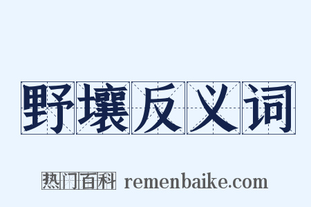 野壤反义词是什么意思的图片